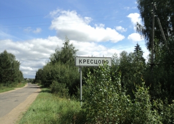 земельный участок 19-20 соток у д.Кресцово. Некрасовский р-н у санатория Золото