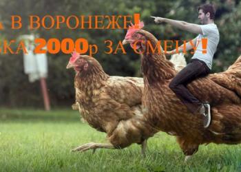Упаковщик полуфабрикатов(вахта) в Воронеже проживание и питание-бесплатно