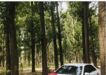 Праздники и мероприятия