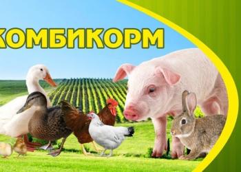 Барахолка верхней и нижней салды авто
