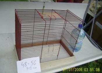 клетки разные