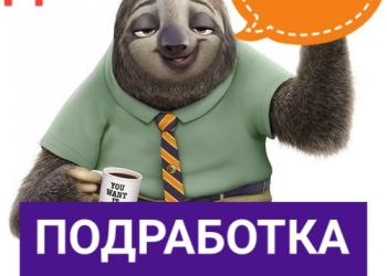 Подработка сотрудник на первичку