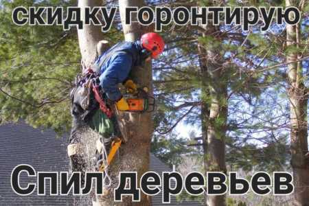 Предлагаем полный спектр услуг по обрезке, спилу и удалению деревьев. Вырубаем а