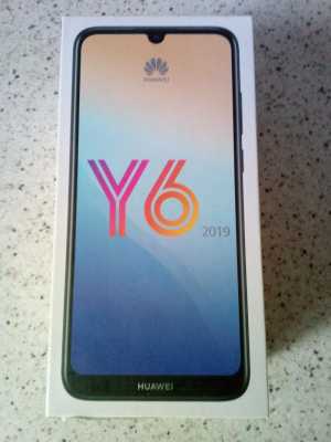 Huawei Y6