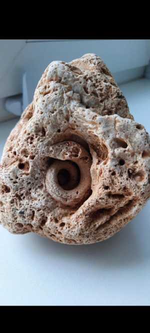 Камень Аммонит