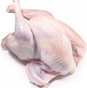 Индейка домашняя