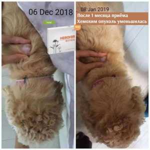 Просто делюсь результатом