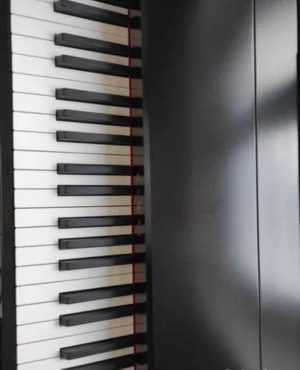 Kawai VPC 1   88 ,  