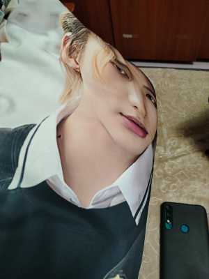 подушка,дакимакура