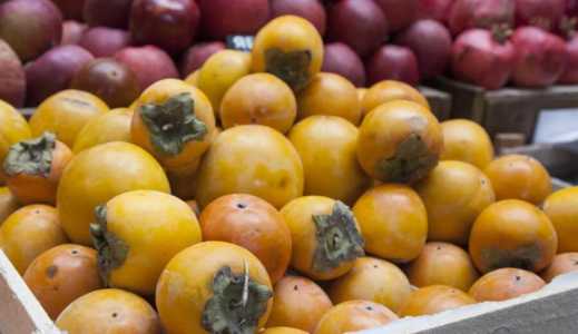 Хурма, Королек, Шишбурун