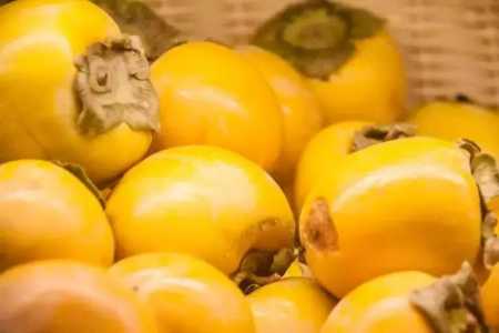 Хурма, Королек, Шишбурун