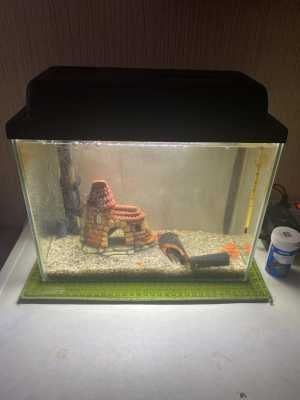 Продам аквариум 15 литров