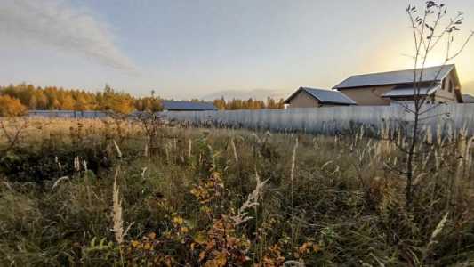 Участок 12,6 соток ЛПХ, д.Сетка, Тульской обл