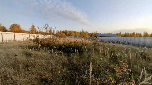 Участок 12,6 соток ЛПХ, д.Сетка, Тульской обл