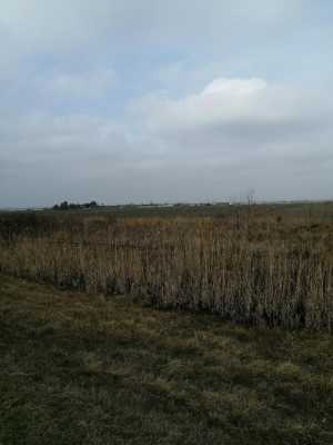 3 гектара