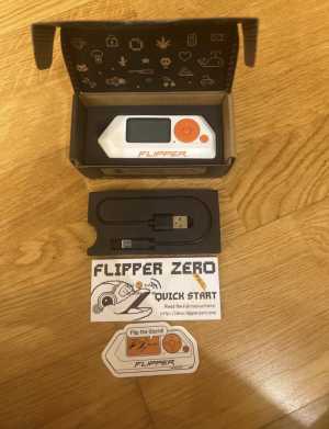 Flipper zero идеальное состояние