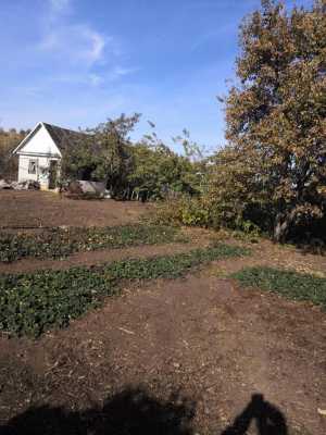 Продам огород