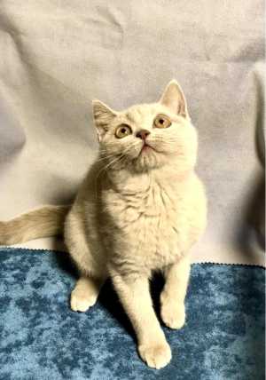 ���������� ������ �� ���������