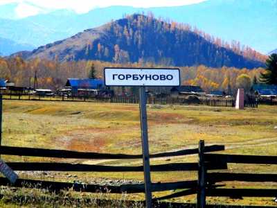 Участок на берегу Катуни в Горном Алтае в центре Уймонской долины