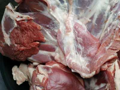 Продажа мясо