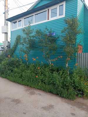 Танхауст в нижегородке для семейных хороший вариант