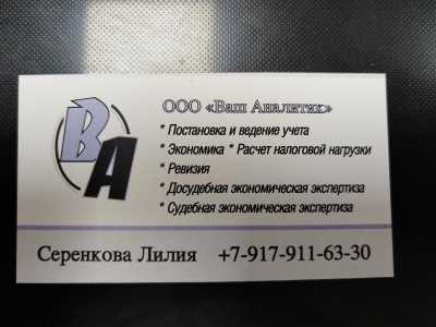 Ревизии ФХД и в СНТ