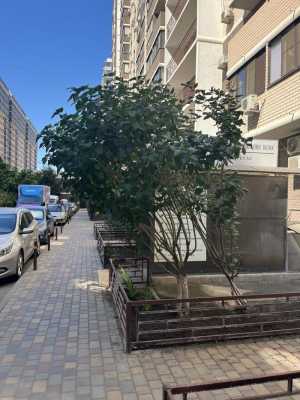 офис с ремонтом в районе П Метальникова