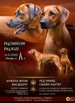 Щенки родезийского риджбека