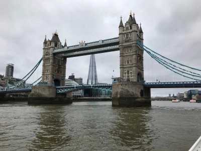 Репетитор по английскому языку