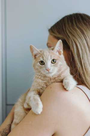 Рыжий котенок подросток Лунтик ищет дом