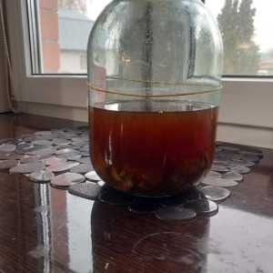 Продам струю бобра