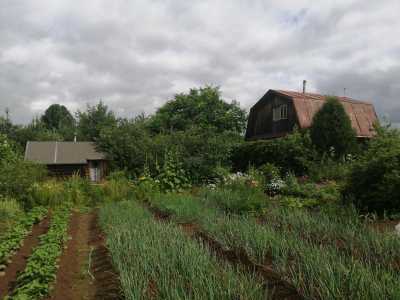 д.Вагино Куменского района земельный участок 15 соток