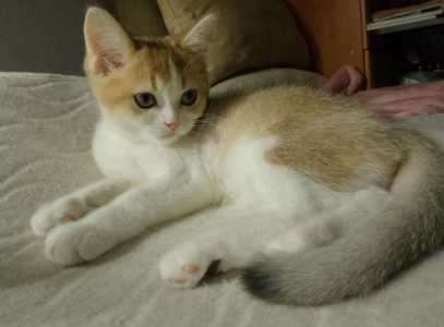 ������ �� ������� ���������