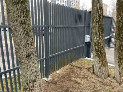 ���������� �������� ������� � ����� � ������ | ������� ��������