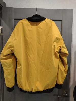 ������ Antearer Bomber