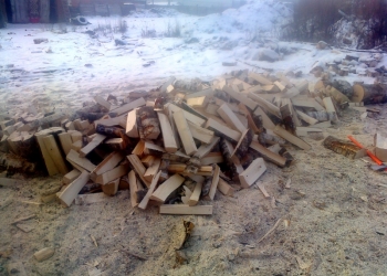 дрова берёзовые