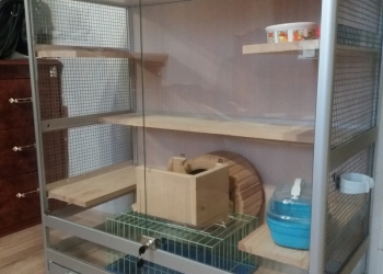 Клетка