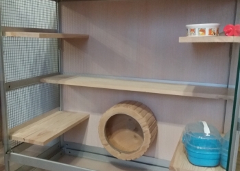 Клетка