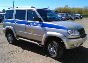 Полицейский, водитель, кавалерист, кинолог, боец