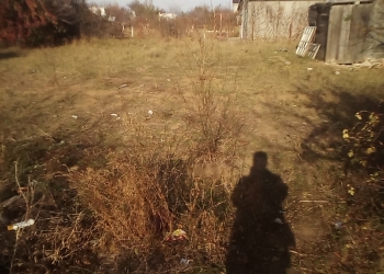 дача