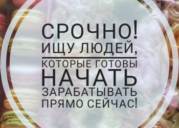 Заместитель руководителя по оптовым продажам