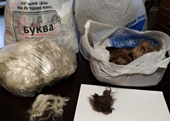 Собачья шерсть