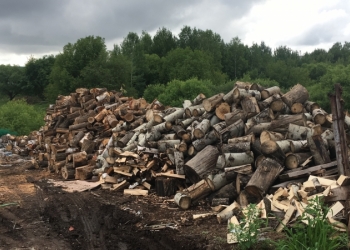 Продам берёзу колотую