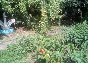 Дом 60 м2