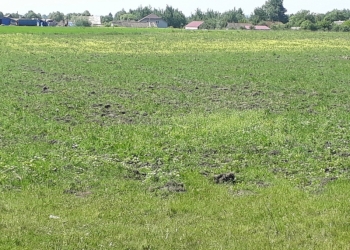 Продам 17 соток