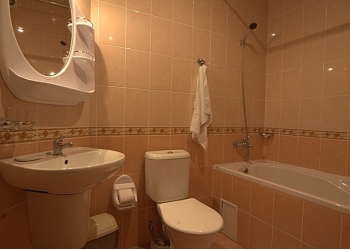 Сантехник на дам