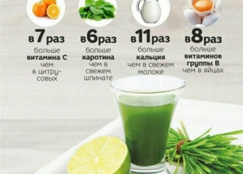 Целебный сок WheatGrass для похудения и от всех болезней из ростков пшеницы