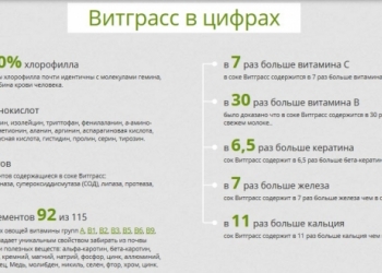 Целебный сок WheatGrass для похудения и от всех болезней из ростков пшеницы
