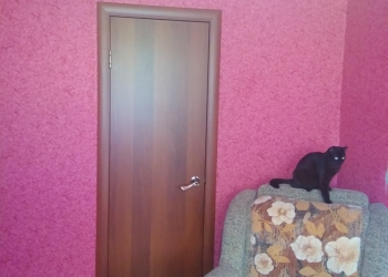 3-к квартира, 56 м2, 1/5 эт.