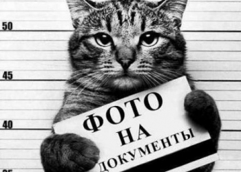 фото переводы, документов